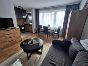 Apartament przy olsztyńskiej Starówce OLD TOWN ZONE, Olsztyn